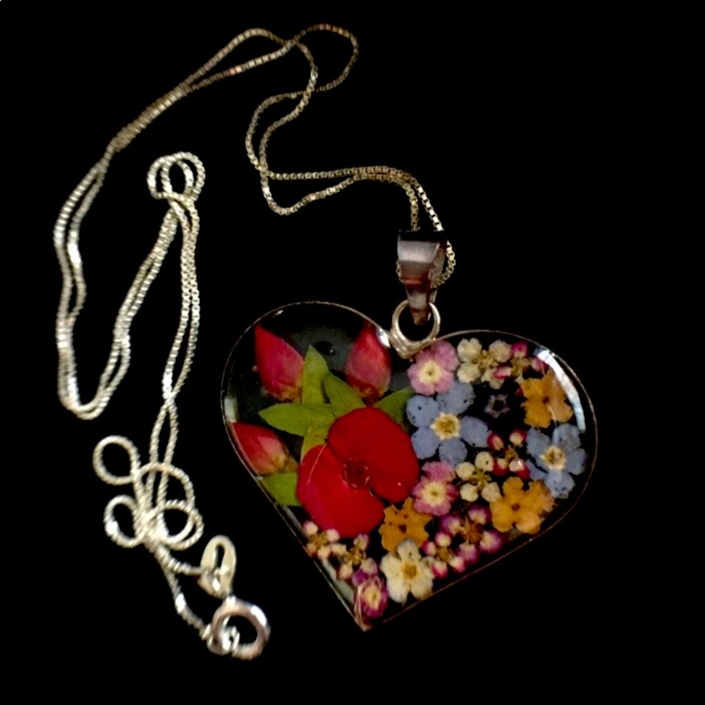 Flowers from Lake District, England